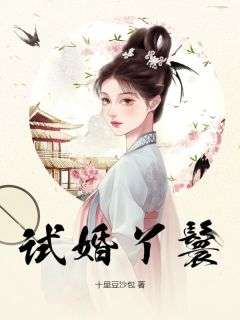 试婚丫鬟小说-锦鸢赵非荀全篇阅读