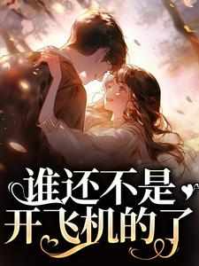 谁还不是开飞机的了丁梨程北归，谁还不是开飞机的了在线无弹窗阅读