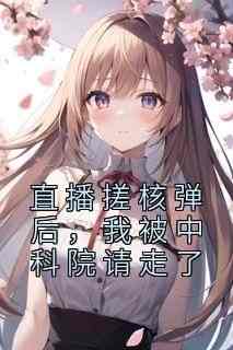 (独家)直播搓核弹后，我被中科院请走了叶仁姜岁岁小说
