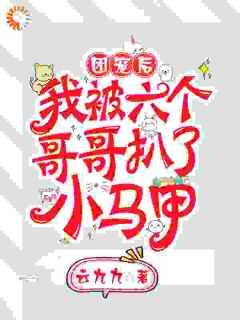 （全本）团宠后，我被六个哥哥扒了小马甲主角顾念司夜爵全文目录畅读