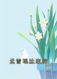 《孟雪瑶沈宗霁》章节全目录 孟雪瑶沈宗霁全文免费阅读