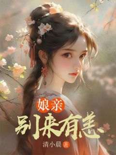 清小晨写的小说娘亲，别来有恙在线阅读