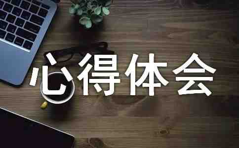 人力资源实训心得体会