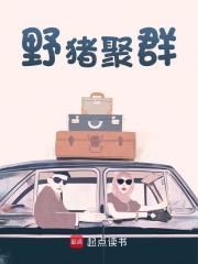 主角赵江王桂小说野猪聚群免费阅读