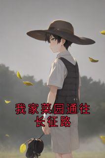 张云龙小刘小说我家菜园通往长征路完整章节