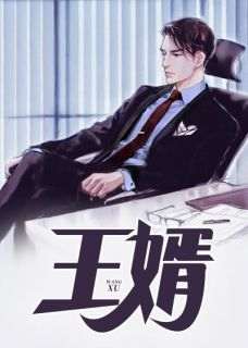 熬夜也要看完的王婿小说推荐