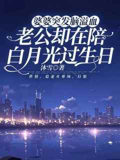 岩心叶云舟小说婆婆突发脑溢血，老公却在陪白月光过生日全文在线阅读
