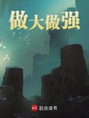 王晨（精彩小说做大做强）在线免费阅读