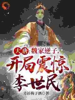 魏叔玉魏书琬是哪部小说的主角 魏叔玉魏书琬全文阅读