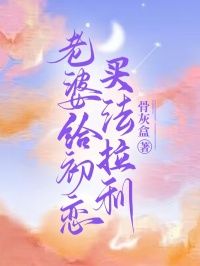 (精品)老婆给初恋买法拉利小说