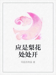 应是梨花处处开免费阅读，应是梨花处处开林挽朝裴淮止小说无弹窗阅读