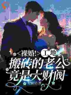 独家裸婚！工地搬砖的老公竟是大财阀小说-主角林惜歌慕朝然全文免费阅读