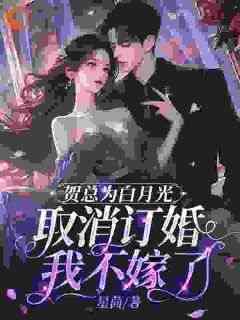 《取消订婚宴，我转头和别人领证》许星染贺寒声全章节在线阅读