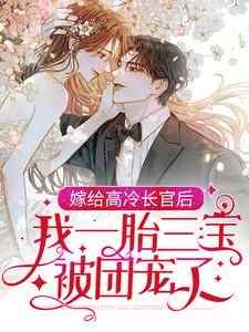 免费完结小说《嫁给高冷长官后，我一胎三宝被团宠了沈月亮罗胜利》无弹窗免费阅读
