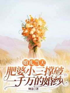 婚礼当天，肥婆小三撑破一千万的婚纱(新书)大结局在线阅读