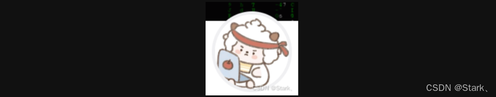 C/C++进阶(一)--内存管理