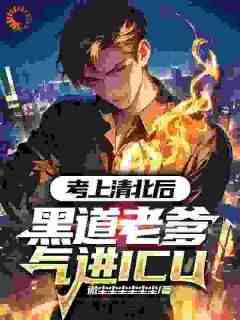 考上清北后，黑道老爹气进ICU(微尘尘尘尘尘尘)最佳创作小说全文在线阅读