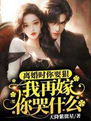 离婚时你耍狠,我再嫁你哭什么(颜黛傅闻州)小说阅读,最新章节无删减