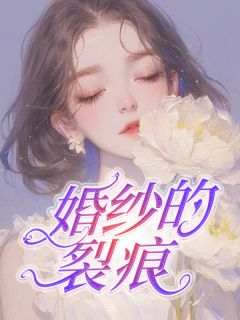婚纱的裂痕许江树沈清梨在线阅读，许江树沈清梨最新章节