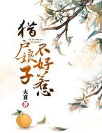 《猎户娘子不好惹》袁梦百里修明免费全章节目录阅读