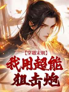 《穿越宋朝，我用超能狙击炮》小说免费阅读 赵诚冯澥大结局完整版