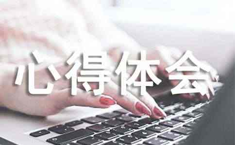 打工体验的心得体会