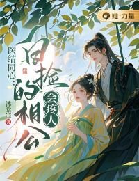 《医结同心：白捡的相公会疼人》小说好看吗 连南李成蹊最后结局如何
