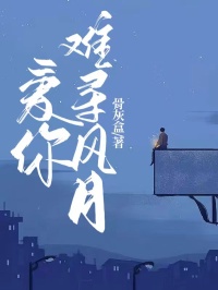 小说《爱你难寻风月》在线免费阅读