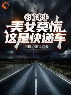 公路求生：美女莫慌，这是快递车全文目录-赵硕楚莹小说无弹窗阅读