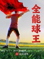 白叶小说（白叶全能球王）章节无弹窗试读
