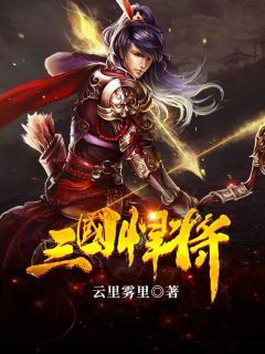 抖音小说《三国悍将》主角韩阳吕布全文小说免费阅读