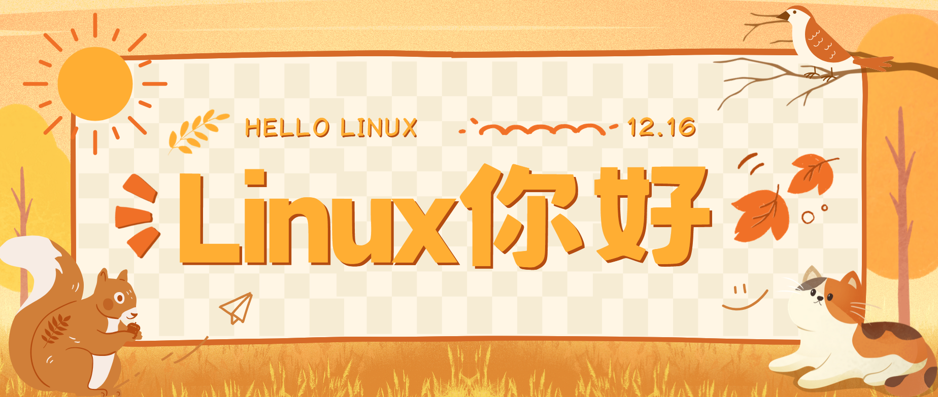 【Linux大神器】搭建网站必学的Linux的二十多条命令，老司机带你快速上手部署项目到网页，面试常考，万字解析，建议收藏 ！ ！ ！