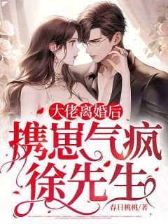 大佬离婚后，携崽气疯徐先生精彩小说-大佬离婚后，携崽气疯徐先生目录阅读