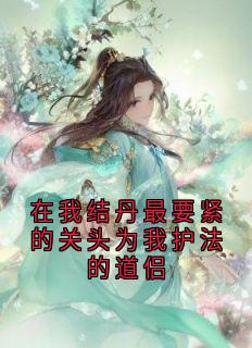 在我结丹最要紧的关头为我护法的道侣楼心月沈凌川-沈凌川小说