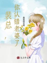 裴总，你认错老婆了！小说阅读，裴总，你认错老婆了！完整版