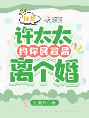 林沐许言琛（完本小说许总，许太太约你民政局离个婚）在线免费阅读