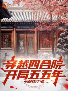 《穿越四合院，开局五五年》精彩章节列表在线试读_李先锋闫埠贵小说