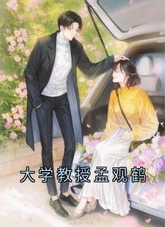 孟观鹤唐安意完整全文阅读_大学教授孟观鹤结局无删节