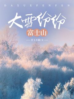 《大雪纷纷富士山》全文及大结局精彩试读_时媛沈世州小说