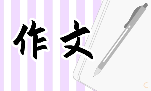 关于高三拼搏的作文