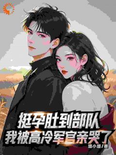 冷面军官追妻：萌娃神助攻精彩章节免费试读_苏晚陆长风小说_大结局