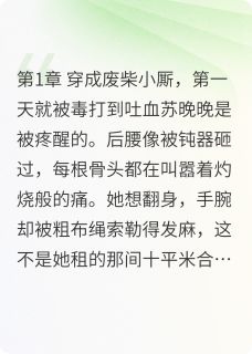 《苏晚晚林修远谢景行》小说章节在线试读_穿成对照组后,她躺平了小说阅读