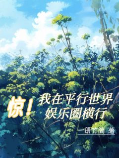 《惊！我在平行世界娱乐圈横行》小说在线阅读_《惊！我在平行世界娱乐圈横行》最新章节目录