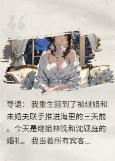 沈砚庭陆哲林晚***，这婚你别结了全文在线免费阅读