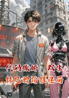 《林凡林晚小星》小说大结局精彩试读_代码撒娇：双生林凡的跨维迷局小说阅读