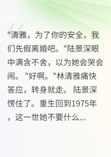 《林清雅陆景深》小说全文在线阅读_重回75我两秒答应首长老公假离婚小说全文