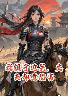 《沈凝张承恩》小说章节目录免费阅读_我镇守边关，丈夫却遭陷害小说阅读