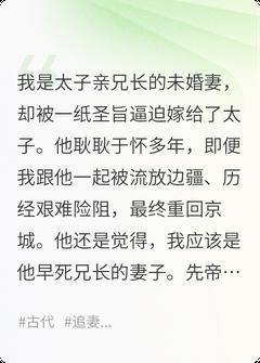 陆阶承熹精彩章节_太子妃偷出宫,下江南做了个寡妇全章节阅读
